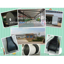 Ep200 Oil-Resistant Conveyor Belt / Rubber Belt